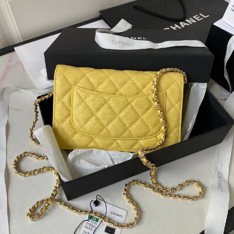 Chanel bags for expectant mothers' prenatal appointmentsChanel - Luxury Bag - CHL - 243